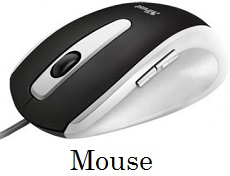 Mouse